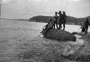 �����������